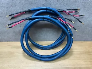 AudioQuest Clear 2 Hyperlitz Bi-Wore 10 Fuß Lautsprecherkabel (Paar) - Bild 1 von 6
