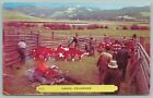 Craig Colorado~Cowboys & Ranch Hands~Cattle Pen~Farm Dog~Rembrant Postcard 1950s