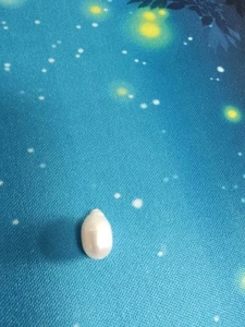 5-6 mm  natural  baroque  white loose pearl through drilled - Picture 1 of 1