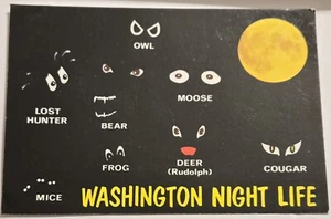 Washington Night Life Greetings cartolina moderna cromata fumetto scherzo D19 - Foto 1 di 2