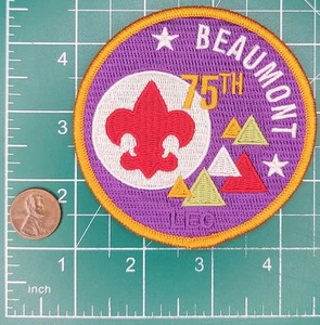 BSA 75th Beaumont - Lake Erie Council, Ohio - Picture 1 of 1