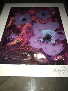 2013 - Dominic Pangborn - Purple Desire - Print - Serialithograph - Signed - COA - Picture 1 of 4