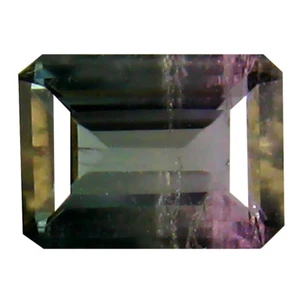 0.92 ct Extraordinary Octagon Cut (7 x 5 mm) Mozambique Bi Color Tourmaline - Picture 1 of 1