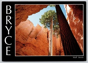 Bryce Canyon National Park Utah Wall Street Slot Canyon Douglas Firs Postcard - Picture 1 of 2