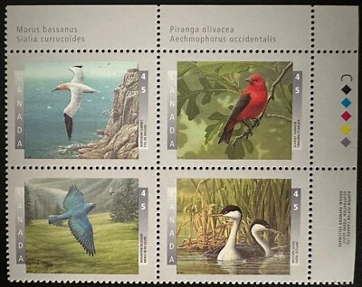 Canadian Stamp Block #1594a Birds of Canada Mint NH Foto 1 de 2