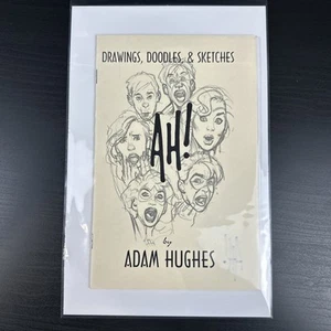 Adam Hughes Signed Drawings, Doodles and Sketches Sketchbook Autographed Pinups - Picture 1 of 16