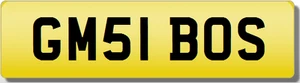 GM GMS 1 THE BOSS !! Privates geschätztes Kennzeichen - Bild 1 von 1