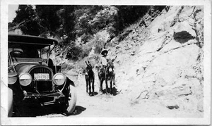 Postal con foto real RPPC cerca de San Bernadino California CA Old Car Man Burros  - Imagen 1 de 2