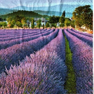 Serviettes en papier champ de lavande Provence France.Napkins lavender Provence - Imagen 1 de 1