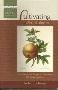 Fruchtbarkeit kultivieren von Robert Schnase Taschenbuch - Bild 1 von 2