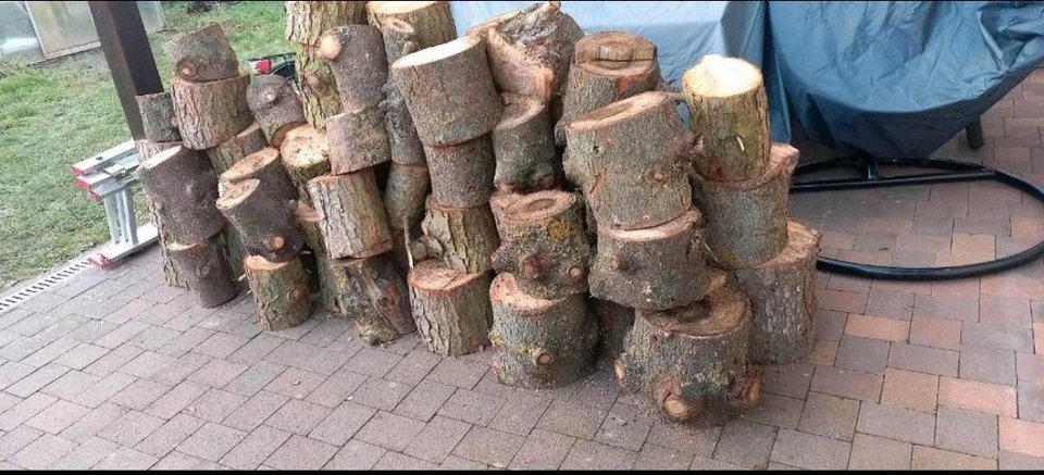 Brennholz Kaminholz - Bild 1 von 2