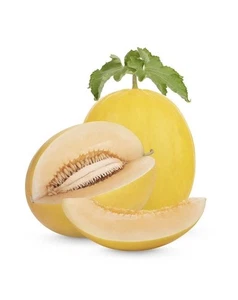Golden Honeydew Canary Melon 200 Seeds – Sweet Heirloom Variety – Juicy Yellow - Picture 1 of 1