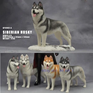 OUT THERE FOREVER 1/6 Modelo Husky Siberiano Animal Perro Coleccionista Decoración Pintado - Imagen 1 de 47