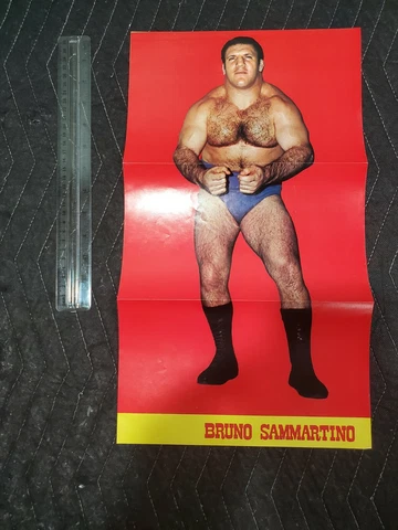 1971 1972 Gong magazine Wrestling poster 18 x 10" Bruno Sammartino beauty rare Cover
