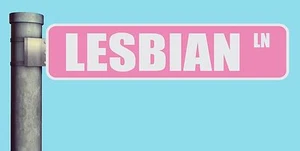 LESBIAN LN STREET SIGN LANE HEAVY DUTY ALUMINUM ROAD SIGN 17" x 4" - Picture 1 of 1