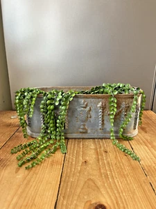 ANTIQUE 19TH C FRENCH REGENCY URN CAST IRON PLANTER FLOWER TROUGH PLANT POT - Picture 1 of 16