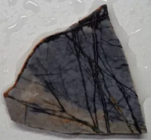 WRG- Picasso jasper Slab 31 grams Utah Lapidary Old Stock Marble - Picture 1 of 4