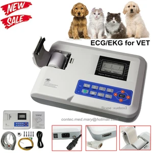 Electrocardiógrafo de 1 canal de uso veterinario veterinario ECG EKG MÁQUINA ECG100G de fábrica - Imagen 1 de 12