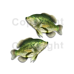 Crappie Sticker Decal Fishing Boat RV Car Truck Camper Trailer F011 2 Pack - Picture 1 of 1