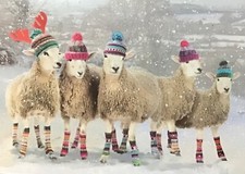 Sheep in Woolly Hats & Socks Snowy Scene Charity card - SINGLE CARD - The Works