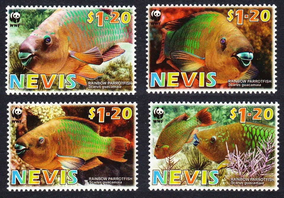 Pez loro arco iris Nevis WWF 4v 2007 MNH SG#2015-2018 MI#2208-2211 Sc#1510a-d Foto 1 de 1