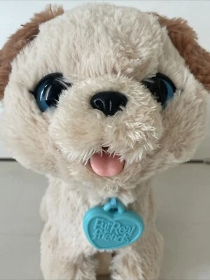 FUR REAL FRIENDS PAX Hund Dog Füttern gassi Gehen "B" - Bild 1 von 4