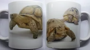Tortoise Mug Reptiles - Picture 1 of 1