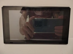 Nintendo Switch LCD Bildschirm für TEILE ODER REPARATUR LESEN - Bild 1 von 4