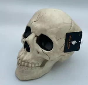 Skull Spooky Decoration Medium Skeleton Skull with Hinged Jaw 5.87"x5.5" - Picture 1 of 10