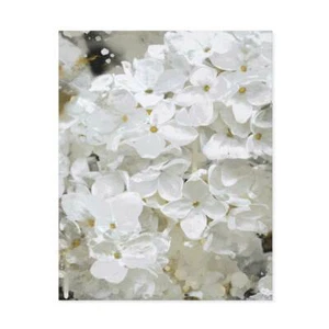 Quadro motivo floreale bianco - Picture 1 of 4