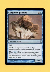 Magic n° 63/301 - Corgueule juvénile (Ref. A930) - Bild 1 von 2
