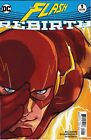 FLASH (2016) #1 - Karl Kerschl Cover - Back Issue