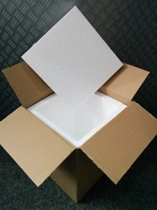 25 POLYSTYRENE Lined FLAT PACK boxes, FOOD, FISH, REPTILE, PERISHABLES £2 each - Picture 1 of 5