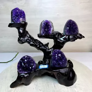 1.75kg Natural Amethyst geode quartz cluster crystal specimen Reiki Heal decor - Picture 1 of 6