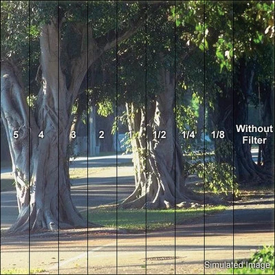 Tiffen 45650LC1, 4x5.65" Low Contrast 1 Filter,  Does Not Affect Highlight Value - Image 1 of 4