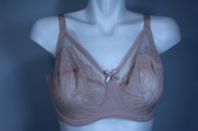 Wacoal 855186 Retro Chic T-shirt Unlined Underwire Bra Size 36DD rose