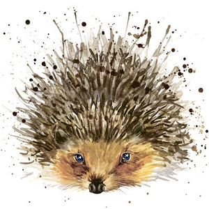 Tovagliolo "Riccio" - Foto 1 di 2