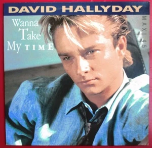 DAVID HALLYDAY - MAXI (12") "WANNA TAKE MY TIME" - PLATTE NEUWERTIG - Bild 1 von 2