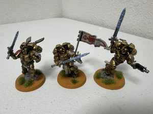 Warhammer 40000 40K Blood Angel Angels Sanguinary Guard x3 bemalt 6/10 101225 B - Bild 1 von 4