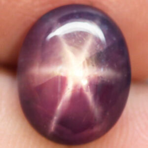 4.97Ct. 6 Rays Heated Natural Oval Cabochon Purplish Red Star Ruby Mozambique