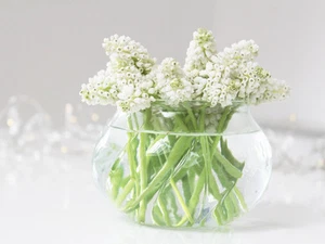 JARRÓN DE LUZ DE TÉ DE VIDRIO SHABBY BUD SOPORTE PARA VELAS BODA DE COLECCIÓN HOGAR NAVIDAD - Imagen 1 de 6