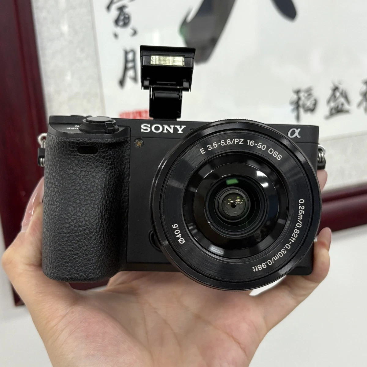 SONY α6500 ジャンク SONY - ジャンク SONY a6500 ILCE-6500 E 18-55mm OSSの通販 by ご愛用