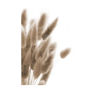 Modern Print Room Furniture Home Wall Print Walls Feathers Art Poster Declea - Picture 1 of 21
