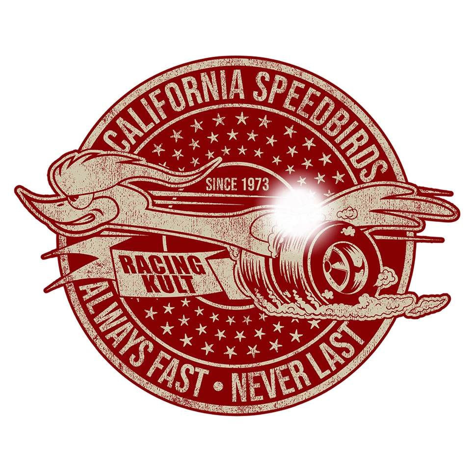 Racing Kult Speedbirds 50 cm Aufkleber Sticker OEM JDM Racing Youngtimer Auto V8 - Bild 1 von 1