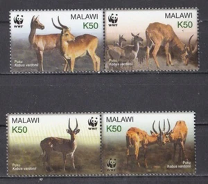 E1081 - Malawi 2003 - MNH - Dieren/Animals/Tiere (WWF/WNF) - Foto 1 di 1