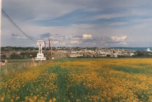 Postcard Dawson Creek view of rich farmlands cereal and seed crop - Picture 1 of 7
