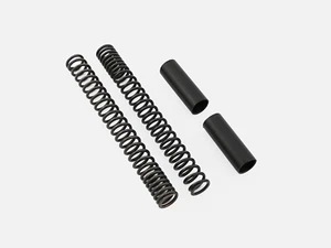 Speed Twin 1200 - Triumph Water-cooled - Progressive Fork Springs - Picture 1 of 1