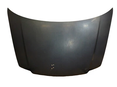 Painel de capô usado Ford Expedition 2003-2006 fabricante de equipamento original 2L1Z16612AA - Imagem 1 de 4