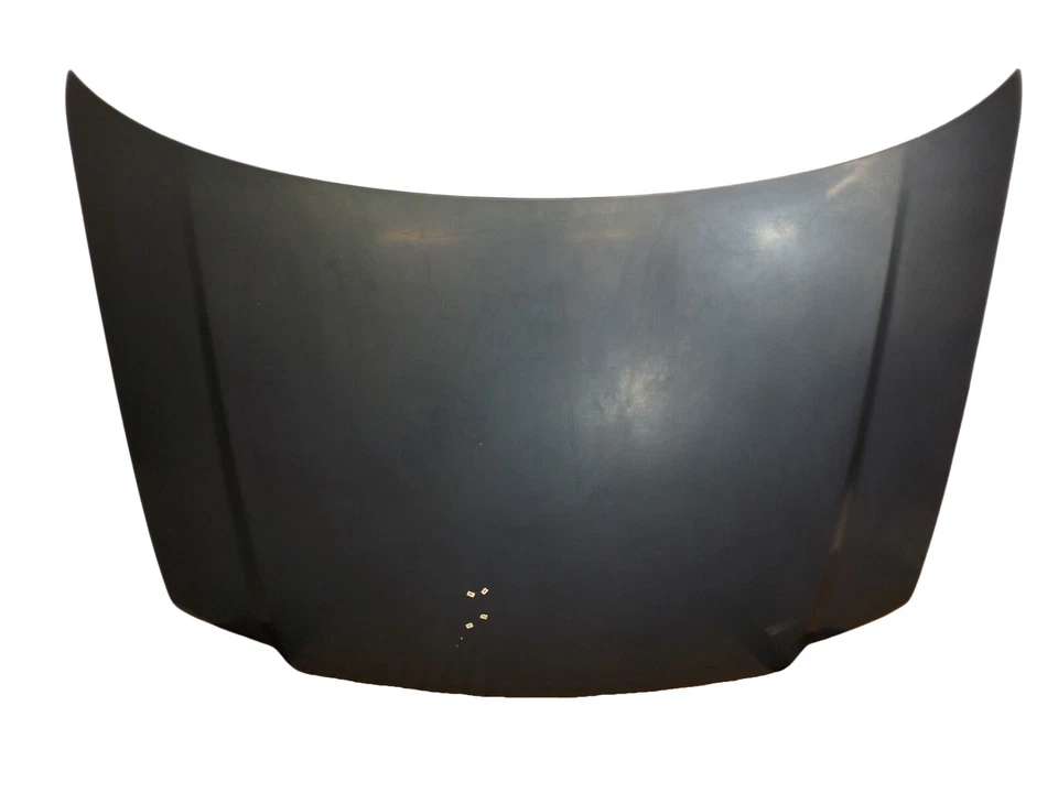 Panel de capó Ford Expedition 2003-2006 usado OEM 2L1Z16612AA Foto 1 de 4