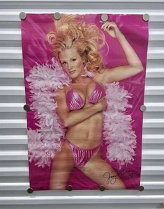 Vintage 90s Jenny McCarthy Full Sz Poster 22x34 Pink Lingerie Hot Pinup Man Cave - Picture 1 of 12
